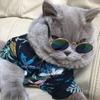 Round Pet Supplies Trend Toys Photos Props Pet Sunglasses Eye-wear Reflection Glasses Cat Glasses