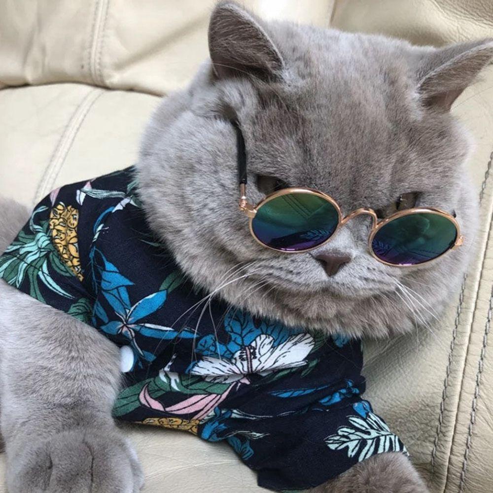 Round Pet Supplies Trend Toys Photos Props Pet Sunglasses Eye-wear Reflection Glasses Cat Glasses