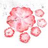 Cherry Blossom Petal Resin Tray & Coaster Silicone Mold Set