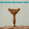 Copper/Horn Balls Meridians Massage Comb Sandalwood Trigger Point Massage Roller Scalp Massage