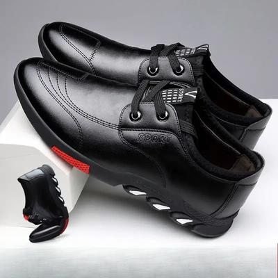 Autumn Men's Casual Shoes New Lace-up Men's Casual Leather Shoes Beans Shoes Black Leather Shoes