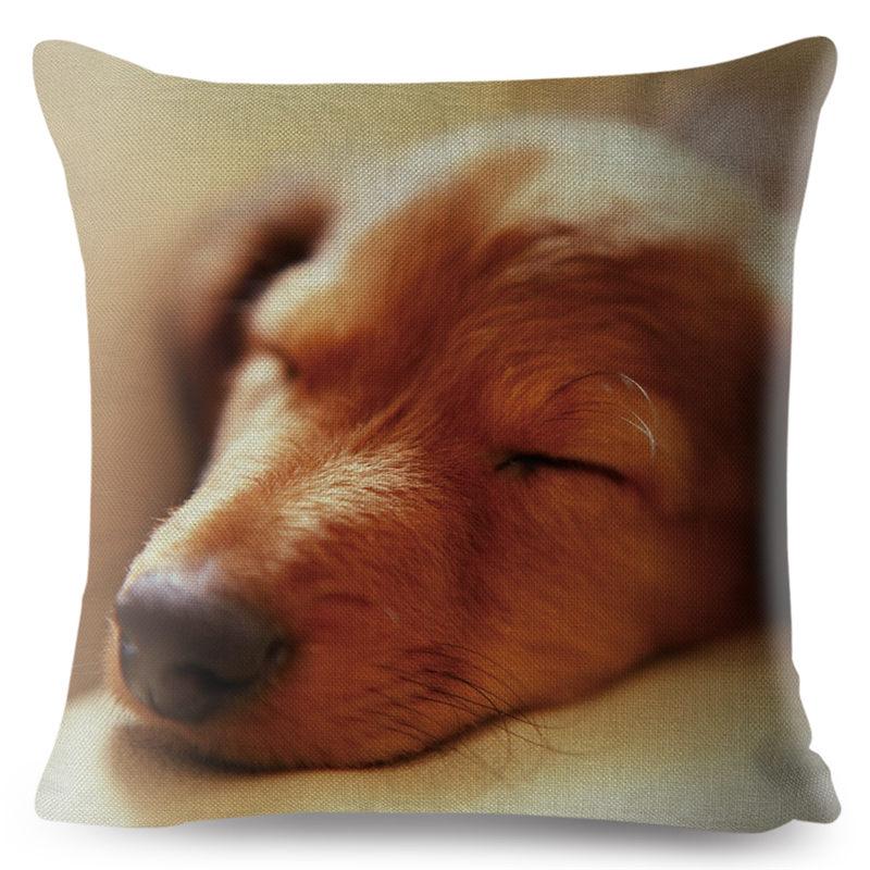 Față de pernă drăguță cu imprimeu câine teckel miniatural, 45*45 pătrată, huse de pernă din in, față de pernă, decor pentru canapea și casă, fețe de pernă