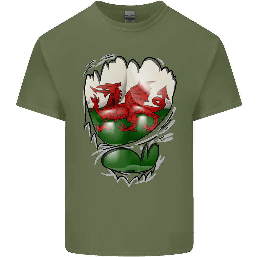 Gym The Welsh Flag Ripped Muscles Wales Unisexs Light Cotton TShirt