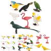Kids Wild Bird Replica Pvc Educational Toy For Science Projects And Gift