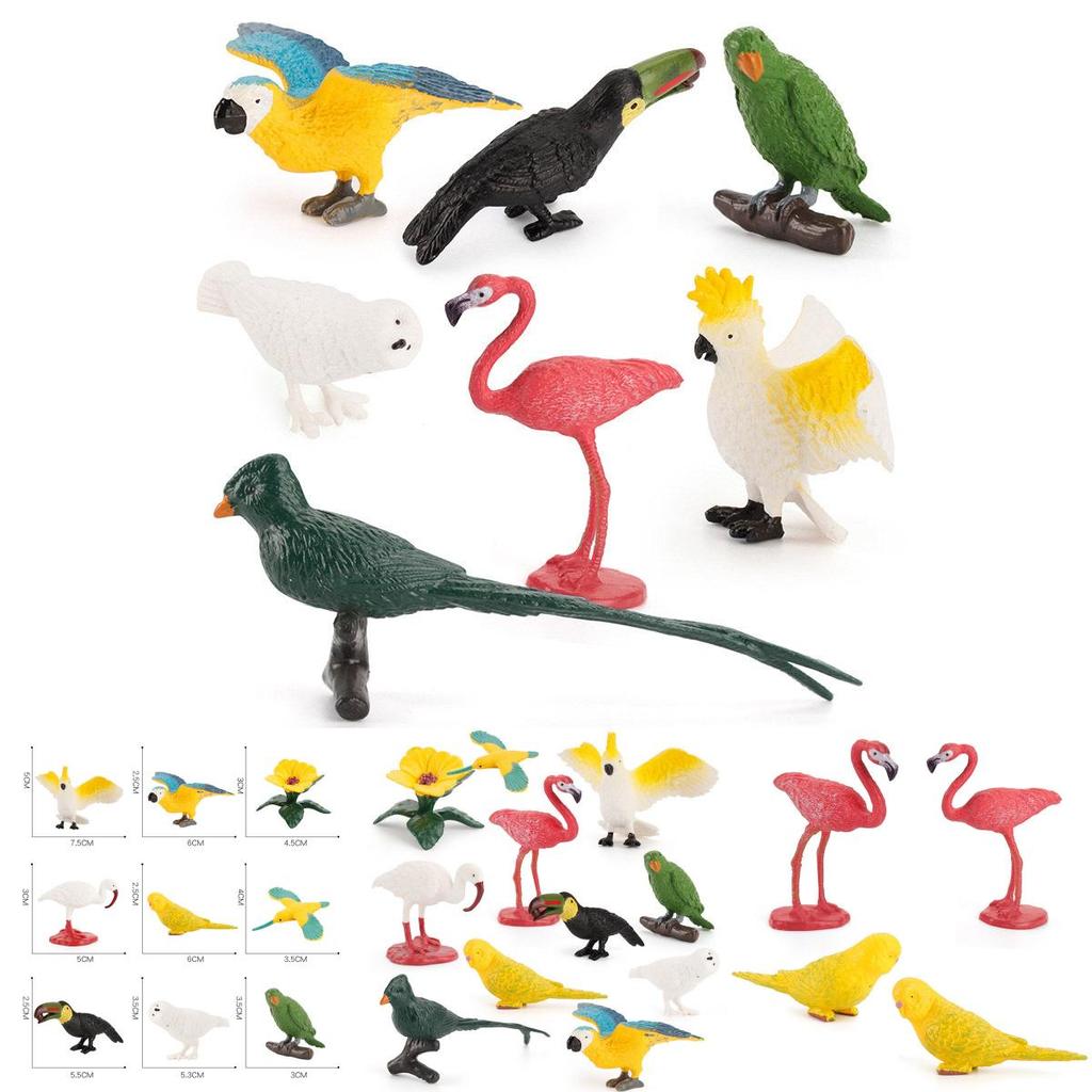 Kids Wild Bird Replica Pvc Educational Toy For Science Projects And Gift