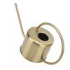 Long Spout Watering Can Gold Plant Watering Can Durable Decorative Watering Can  For House Plants