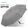 TianTang Automatic Reinforced Umbrella