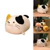 Cute Baby Cat Soft Pillow Decor Kids Gift