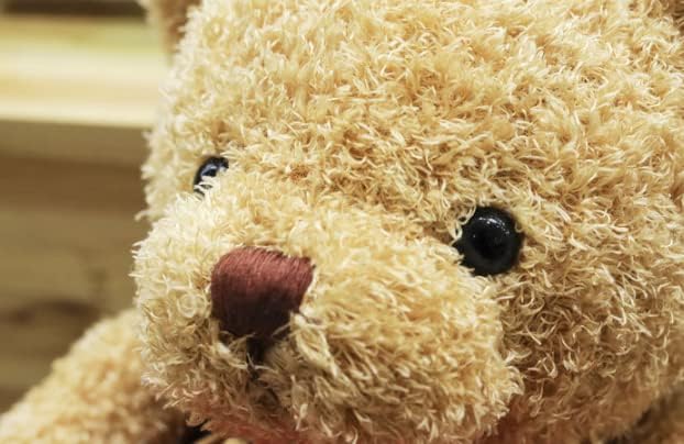 TROYSINC Teddybär Weiches Fell Teddybär mit Kapuze Tatzendruck Plüschtier Kuscheltier Stofftier Geschenk (Rot,30cm)