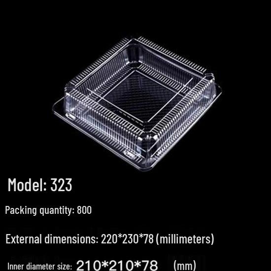 Eco-Friendly Transparent Pastry Box - Round Cat Head & Rectangular Cake Design