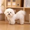 Princess Style Pet Dresses Lace Detail Pet Vest Princess Dog Skirts  For Dogs