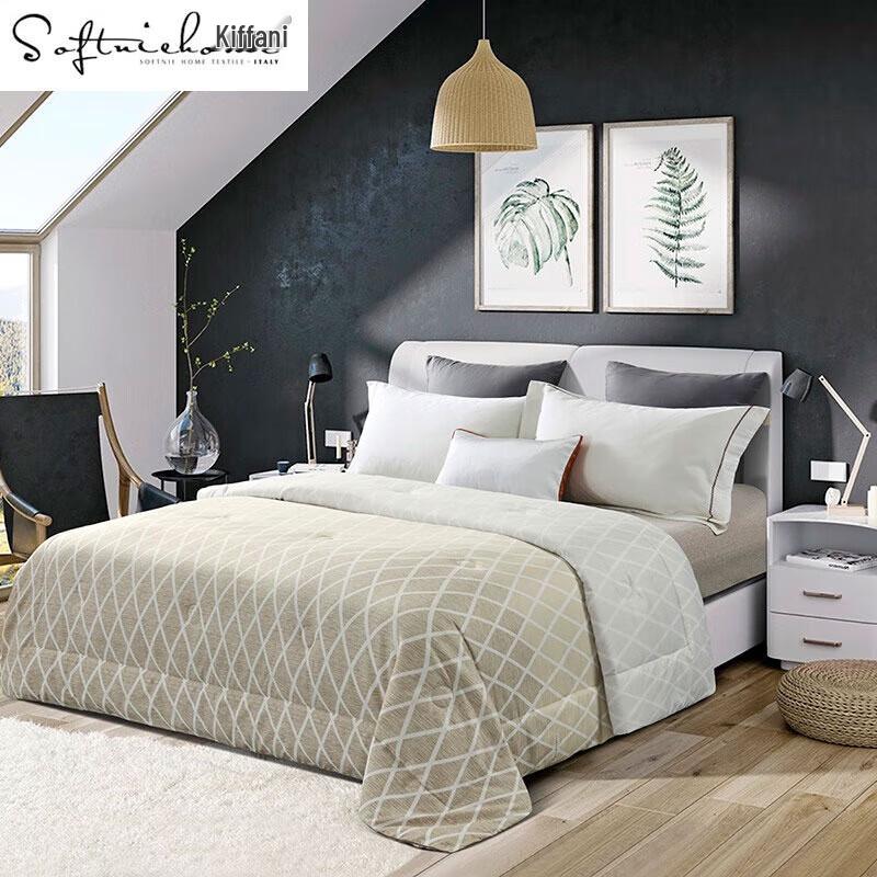 

SOFTNIE Warm Core Quilt