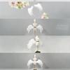 New Manga Exhibition Angel Wings Cos Angel Devil Wings Stage Performance Props Role Playing Party Props Cosplay Accessories
