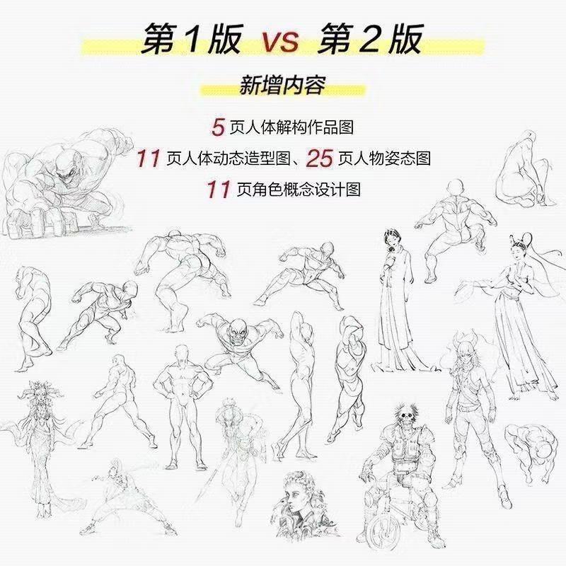 Human Anatomy For Artists Human Body Structure Principle and Painting Teaching Self-study Textbook  Art Collection