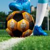 Borussia Indoor Soccer Ball Colorful Machine Stitched PVC Size 5 Team Training Competition Ready Durable High-Bounce Cool Sports Gift