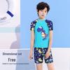 Youyou Kids' Dinosaur Quick-Dry Split Swimsuit Set