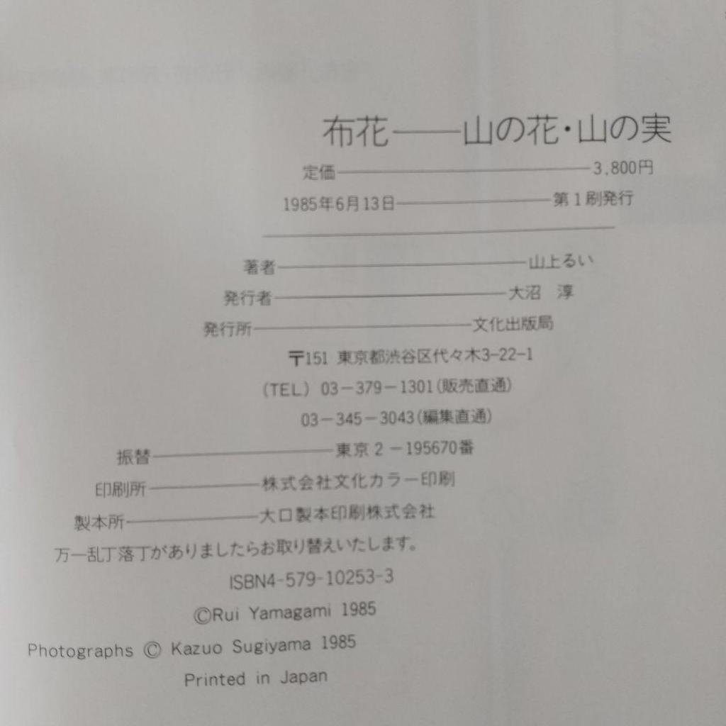 [USED] Mountain Flower Fruit by Rui Yamagami