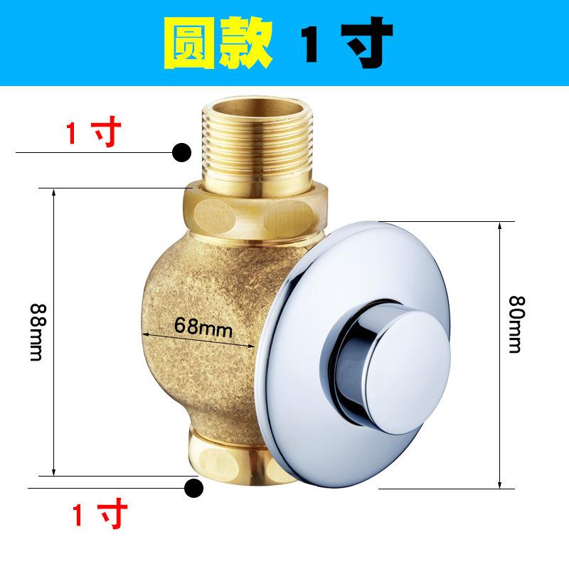 Concealed Wall-Mounted Flush Valve Hand-Pressed Toilet Squatting Pan Public Toilet Delay Faucet All Copper Modern Design 2-Year