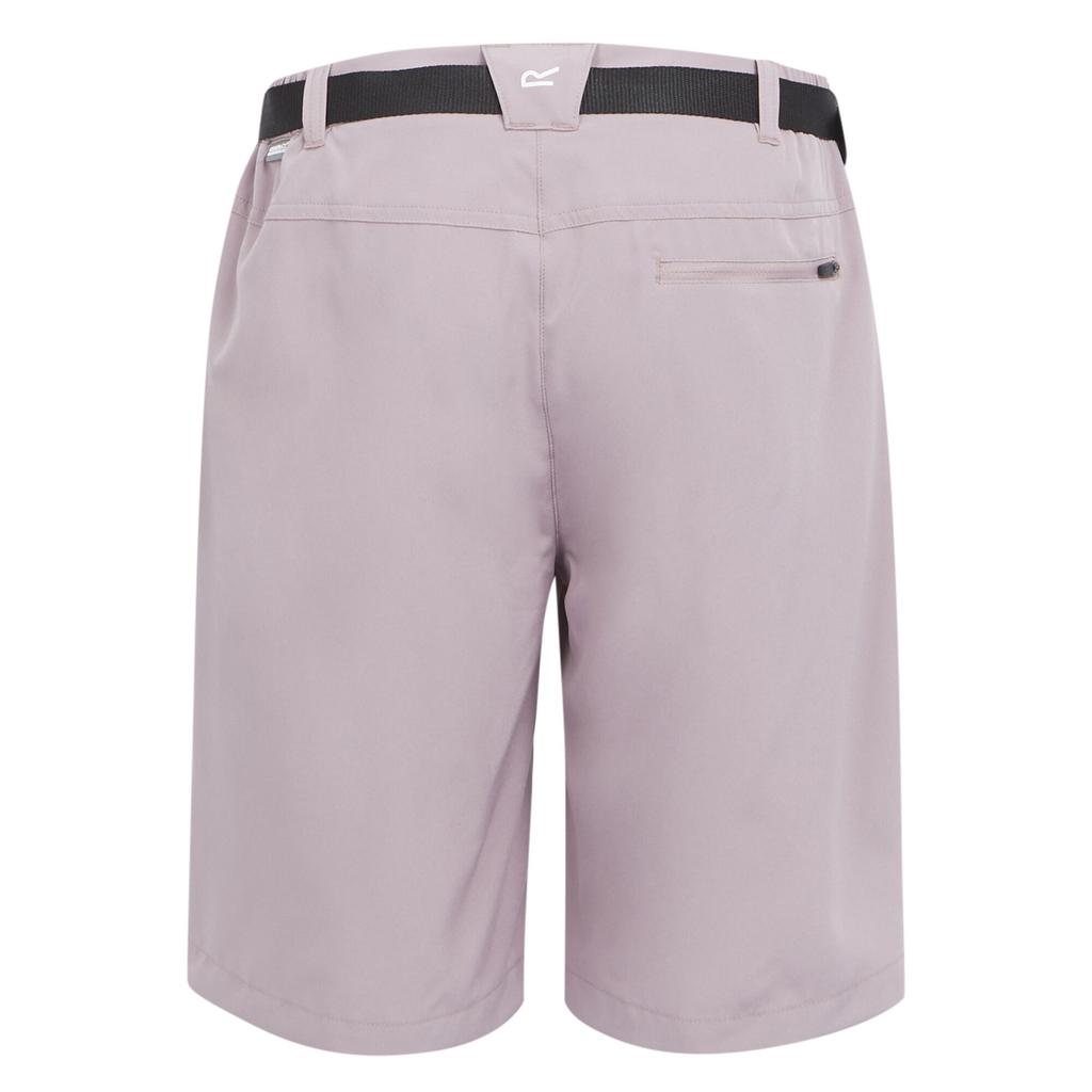 Regatta Womens/Ladies Xert Stretch Shorts