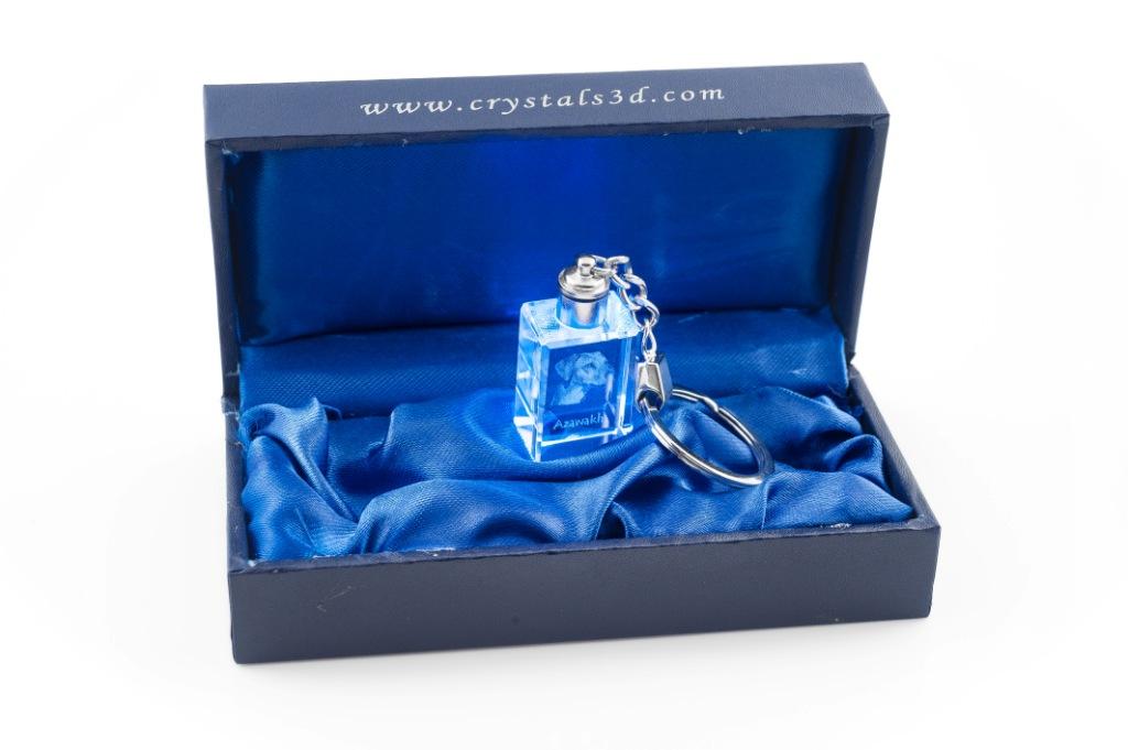Azawakh, Tuareg Sloughi - Crystal Key Ring with Dog Photo, Illuminated Key Ring, Unique Gift by Art-Dog Brand