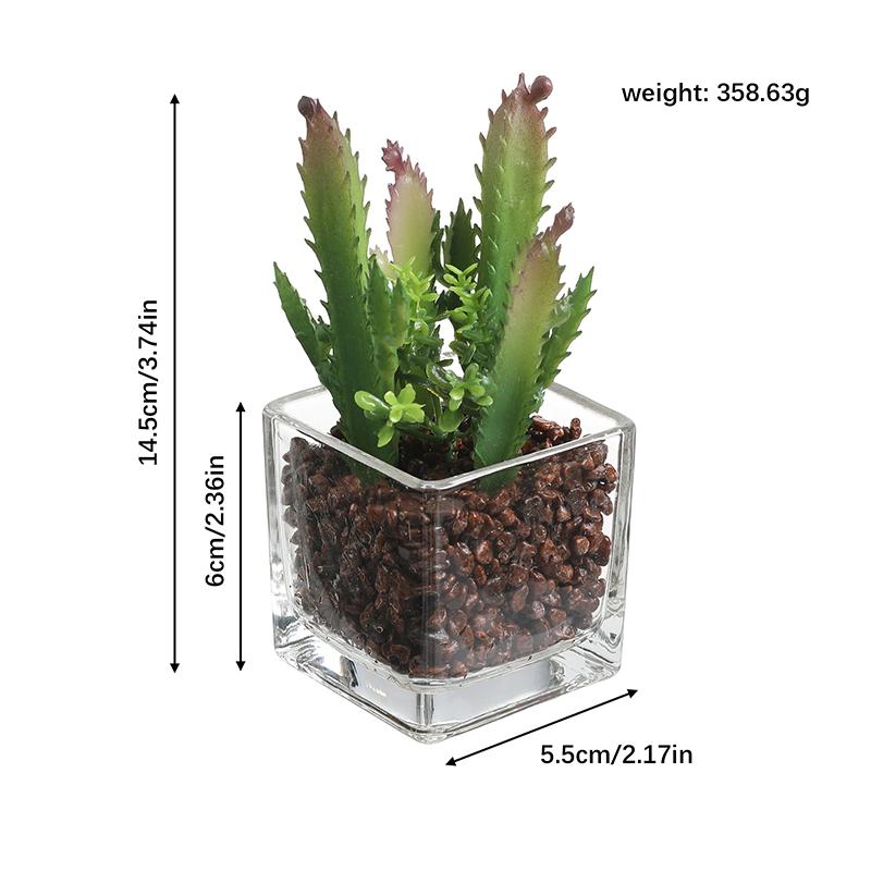 1Pcs Succulent Plant Artificial Transparent Flowerpot Fake Cactus Plant Indoor For Window Office Racks Bathroom Home Decoration
