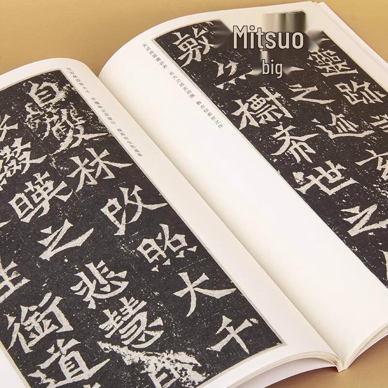 Selected Masterpieces of Chinese Calligraphy: Longmen Twenty Inscriptions
