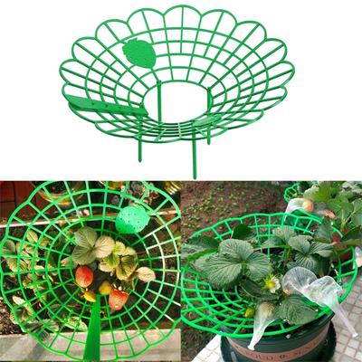 Strawberry Supports Stand Strawberry Plant Supports Cages Climbing Trelli Strawberry Rack Frame Holder Planting