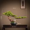Simulation green plant  welcome pine bonsai lucky ornament light luxury living room entrance cabinet hotel zen soft decoration
