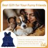 1 Pcs Cute Dog Dress Puppy Clothes with Bownot for Female Girl Small Dogs Outfits Harness for Outdoor Walking Birthday Party Denim Skirt L