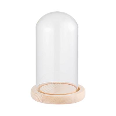 Home Decor Plants Jar Transparent Bottle Terrarium Flower Storage Box Wooden Base Dust Cover Glass Cloche