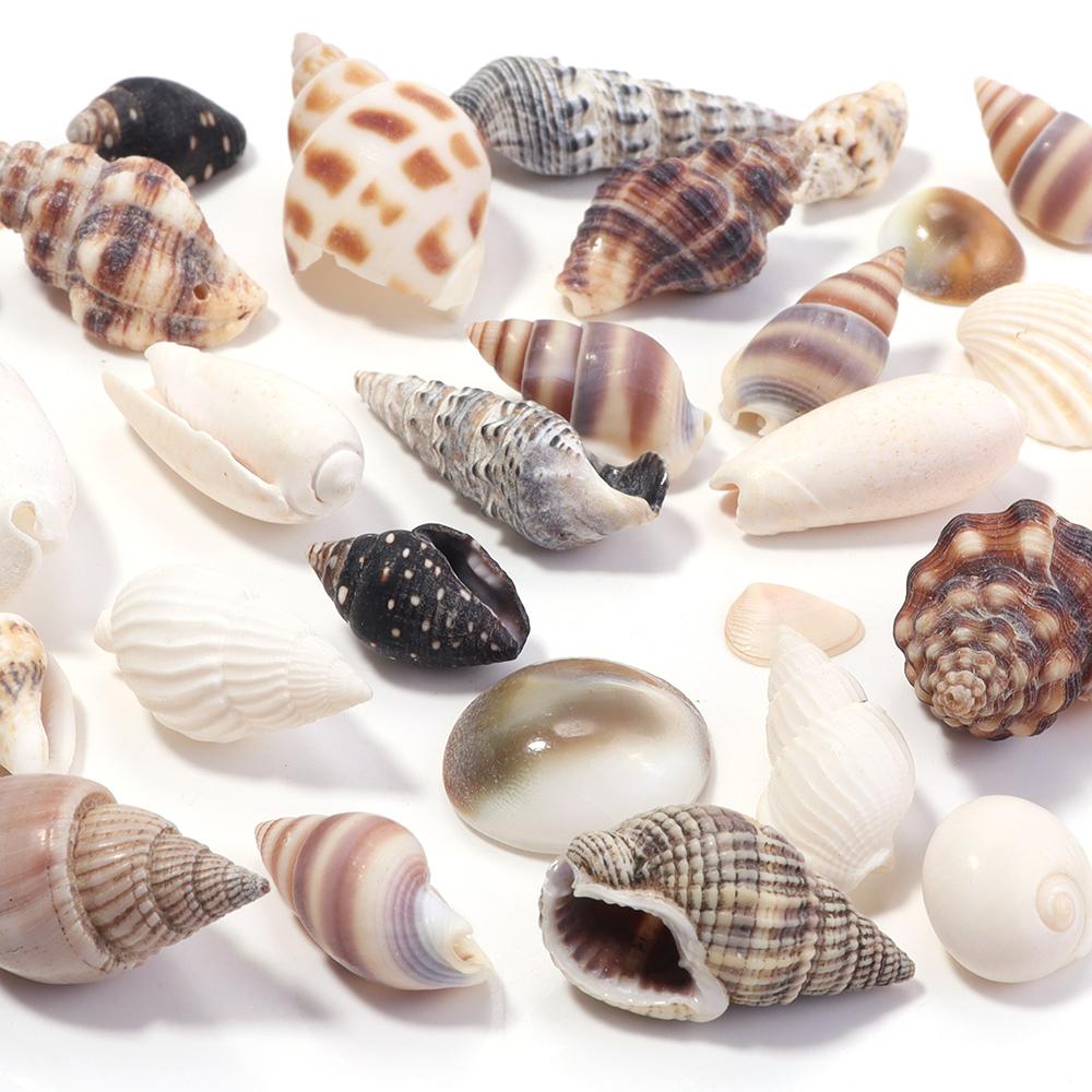 40g/bag Sea Shell Beads Tiny Conch Beads Undrilled Natural Shell Beads For Jewelry Making DIY Crafts Ornament Home Decoration