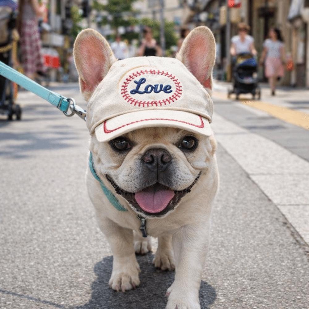 Cute Letter Embroidery Dog Sun Hat with Ear Holes Adjustable Strap Beach Visor Hat Dog Sunscreen Hat Pet Accessories