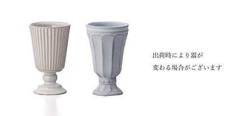 [Pretty Mermaid] Preserved Flowers, Buddhist Altar Offering, Sympathy Flower Arrangement, Yuzu and Chrysanthemum Design in Pink, 1 Item