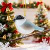 Acrylic Bird Hanging Decoration Winter Bird Hanging Ornament 2d Acrylic Bird Ornament Set Sea Glass Style Hummingbird for Lovers