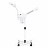 Cosmetic Vapozon with Magnifying Lamp 2 in 1 with Ozone Calissimo