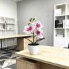 Butterfly Orchid Artificial Plant With Plastic Base For Home Decor And Photography Props