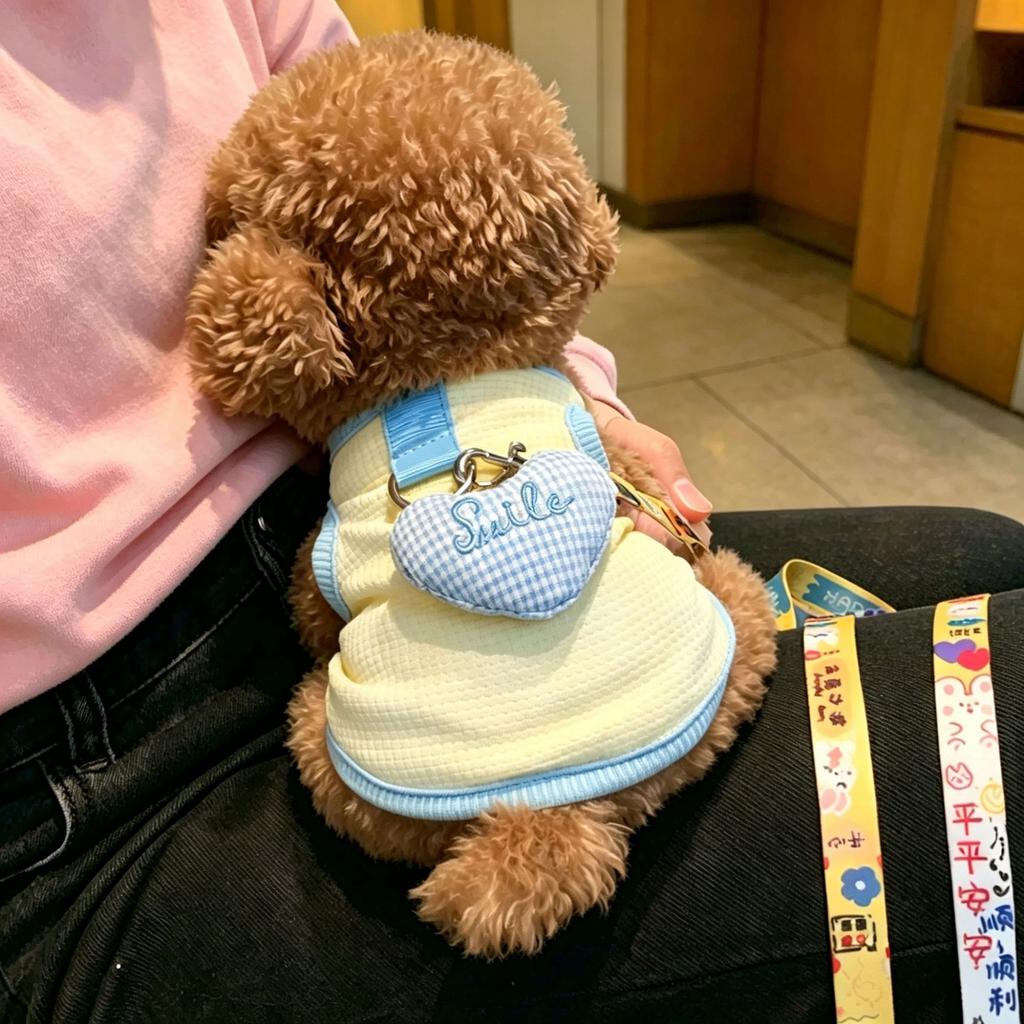Cat dog clothes spring and summer pet British short blue cat anti-hair loss breathable sun protection tractable teddy bear vest