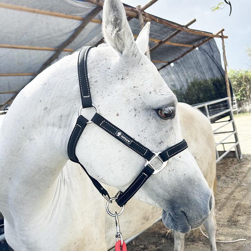 

Набор уздечки и поводка Junshi для лошади