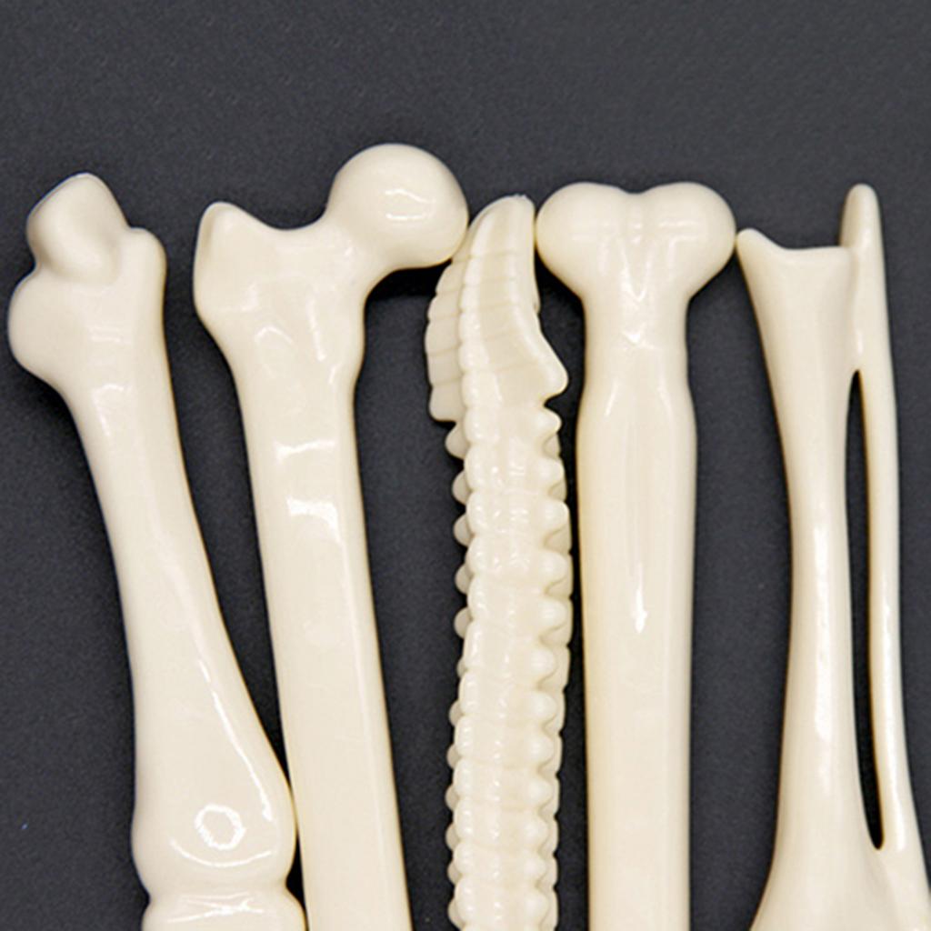 Creative Ball Point Pen Bone Shape Nurse Doctor Student Teacher Stationery Gift