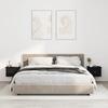 VidaXL Wall-mounted Bedside Tables 2 Pcs Black 41.5x36x28 Cm 816379