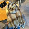 Accessori – Sciarpe e foulard
