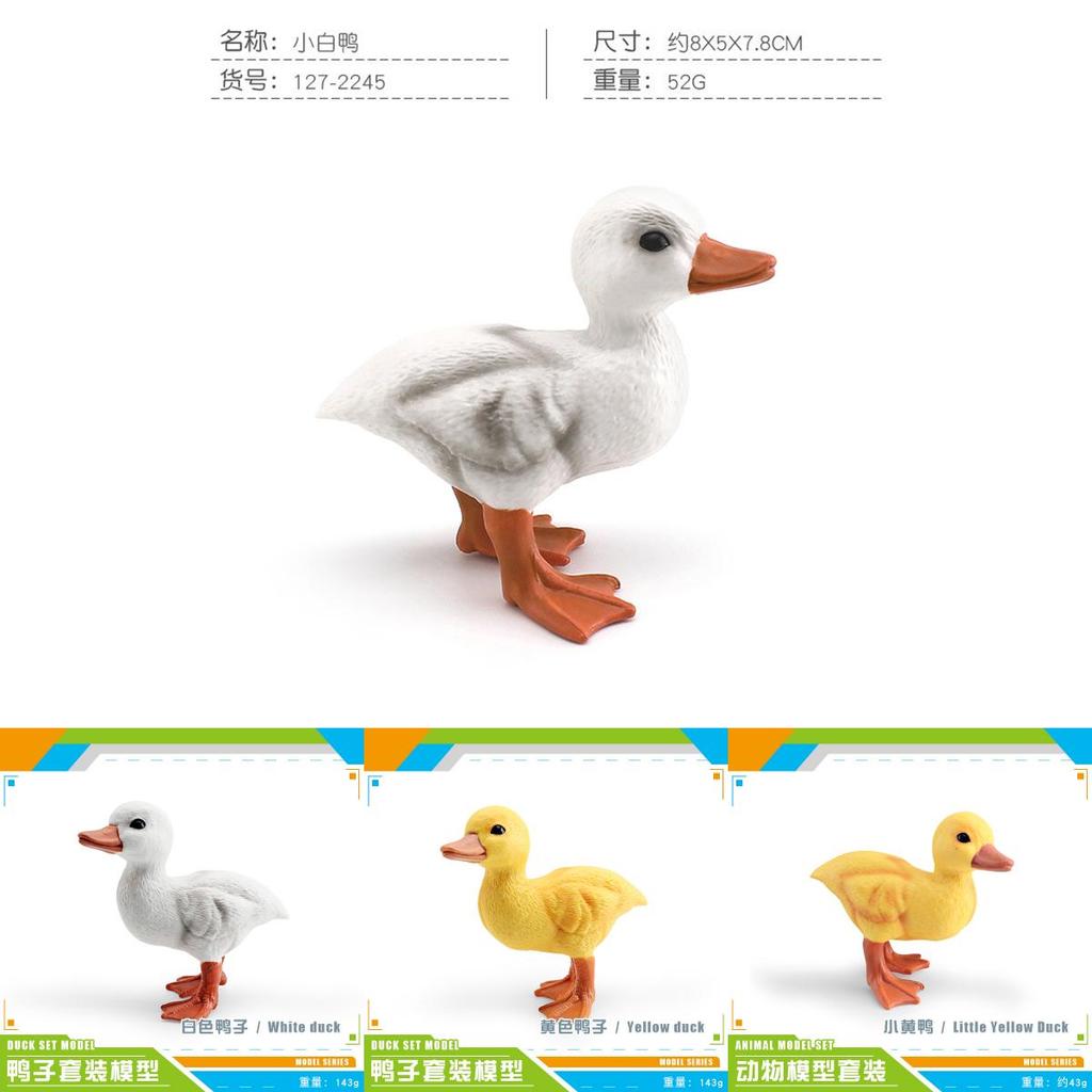 Childrens Pvc Bird Figurines Set For Farm Scene Decor And Learning Activities