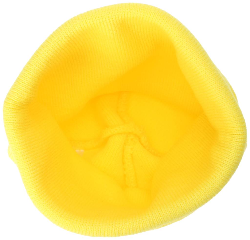 Dickies knit hat