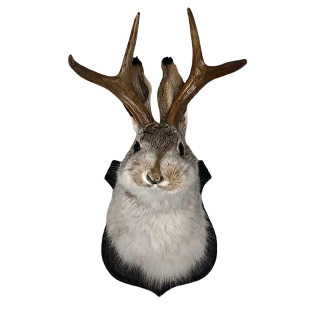 

Декор для стен Последние легенды Кролик-олень, смоляное настенное искусство Реалистичные статуи с головами животных Пасхальная винтажная обивка