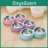 Stainless Steel Double Bowl Plastic Pet Bowl Vibrant Colors Wholesale