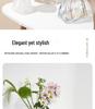 European Style Transparent Glass Vase for Creative Flower Arrangements - High-End Décor for Living Room or Desktop.