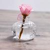Transparent Pomegranate Glass Vase Pomegranate Fruit Vase Mini Hydroponic Flower Vase  Desktop
