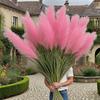 1pc 5 Heads Large Realistic Pink Artificial Foxtail Grass Plants, 31.5inch Tall with Pink Reed Flowers and Green Foliage Bushes - Indoor/Outdoor Use