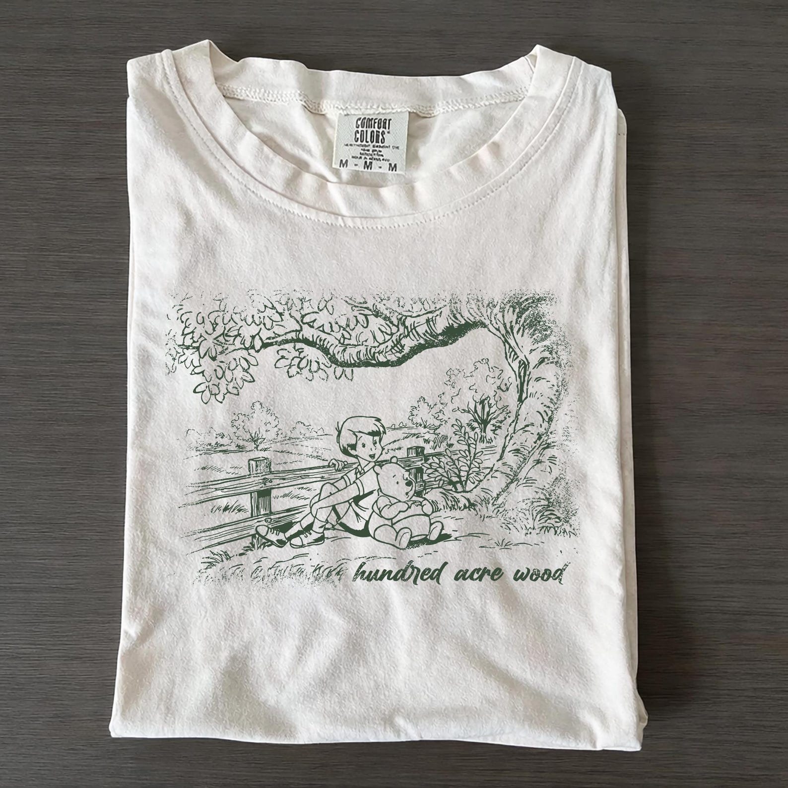 Pooh and Christopher Robin Shirt, Vintage Winnie The Pooh T-Shirt, Disneyland Matching Family Tee XL