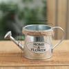 1pc Retro Small Iron Watering Can Home Garden Ornaments Creative Decoration Bucket Pots For Flowers